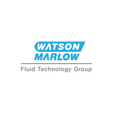 LogoWaston